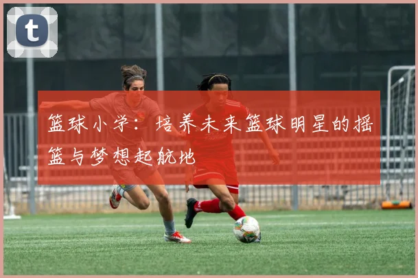 篮球小学：培养未来篮球明星的摇篮与梦想起航地
