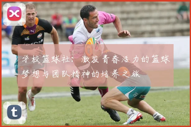 学校篮球社：激发青春活力的篮球梦想与团队精神的培养之旅
