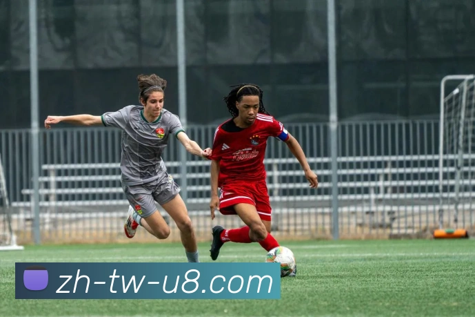 App Interface Preview